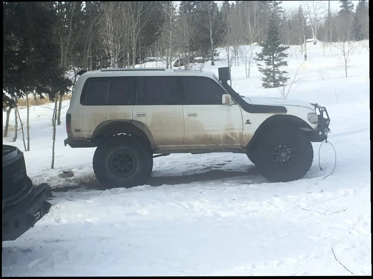 Cruiser 5.webp