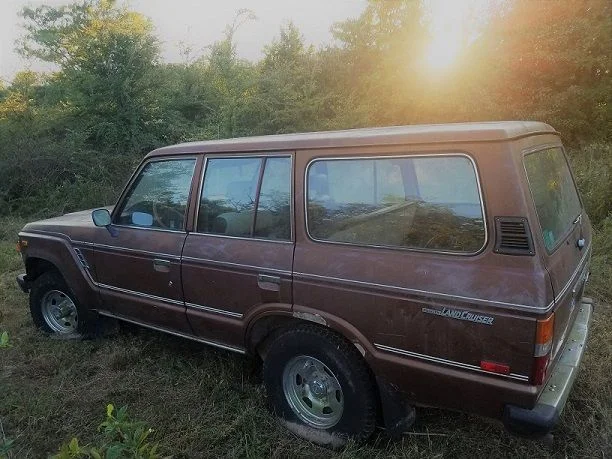 Cruiser Day 1_Small.webp