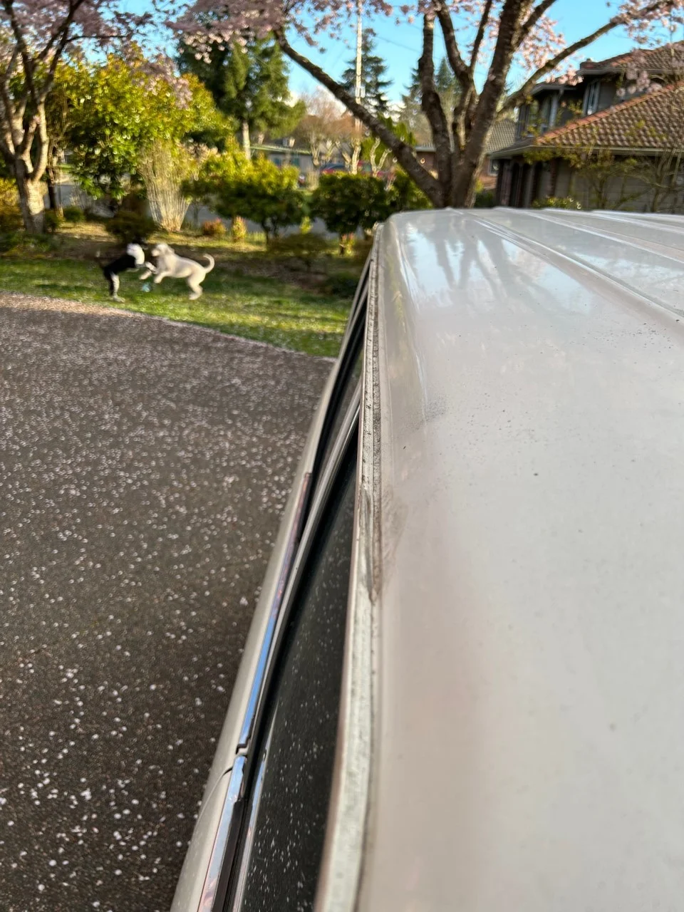 cruiser drip rail.webp