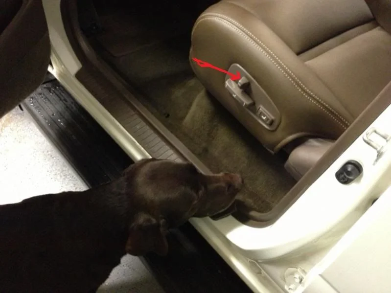 cruiser front seat button.webp
