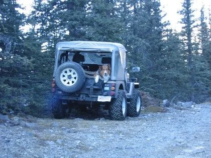 cruiser in back of jeep small.webp