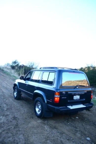 cruiser malibu chillin.webp