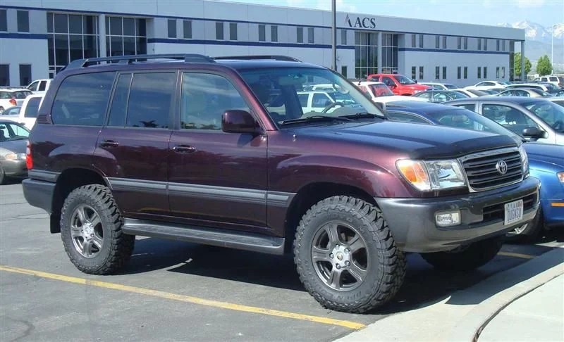 cruiser medium.webp