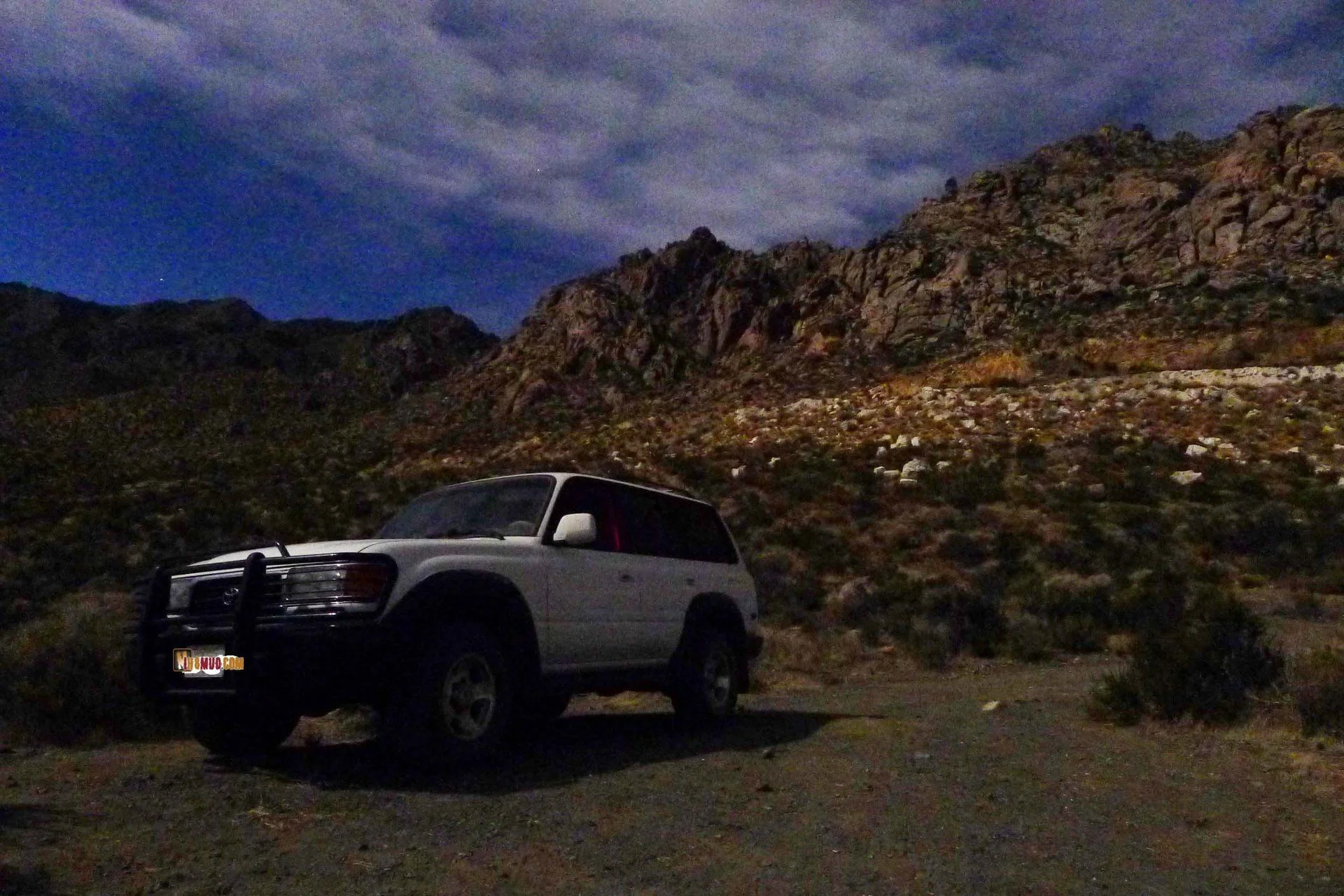 cruiser night shot.webp