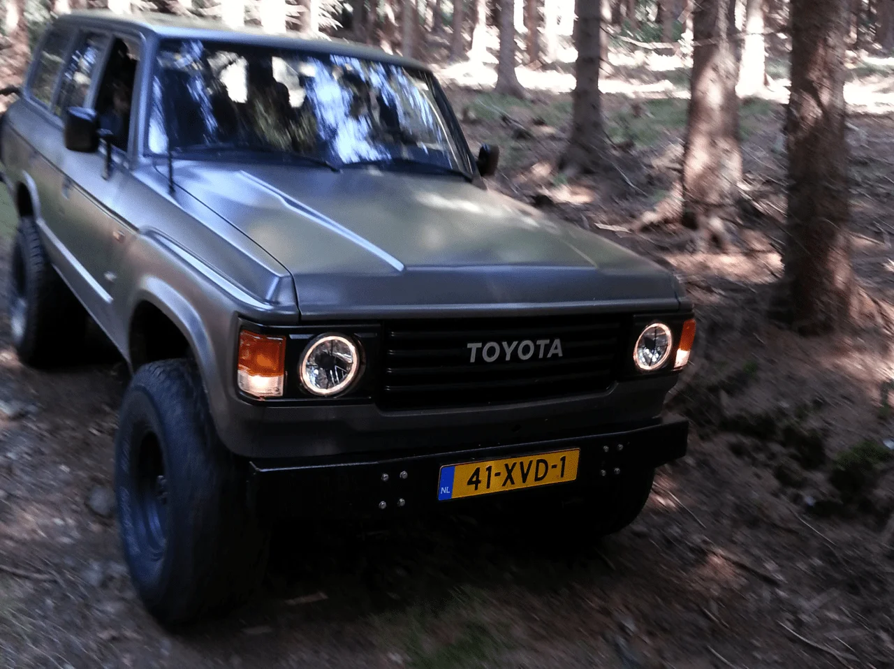 Cruiser.webp