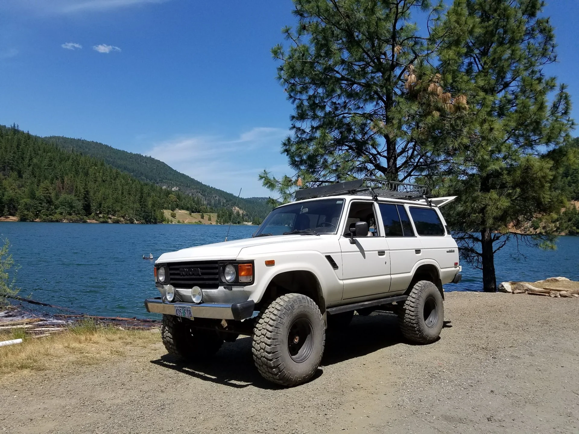cruiser.webp
