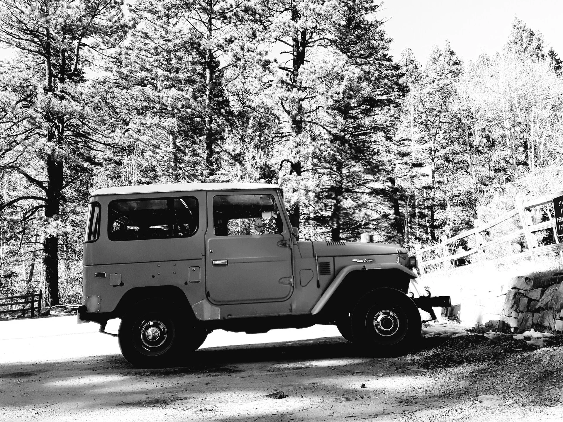 Cruiser.webp