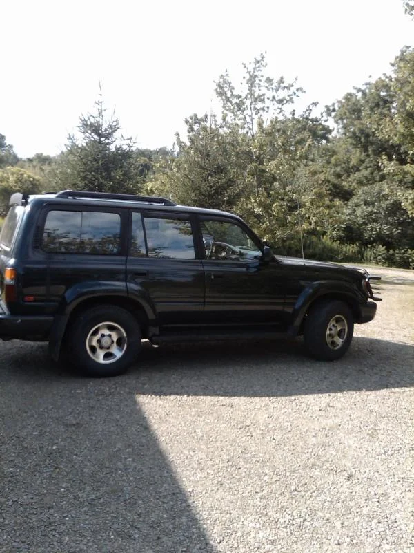 cruiser.webp