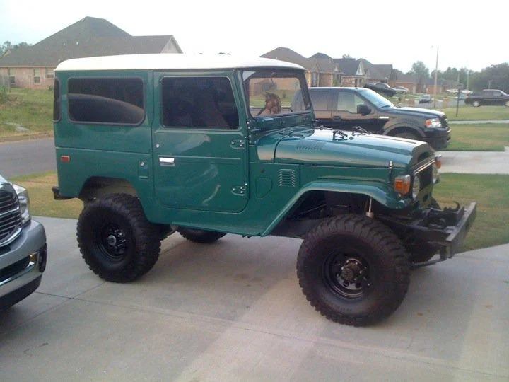 Cruiser.webp