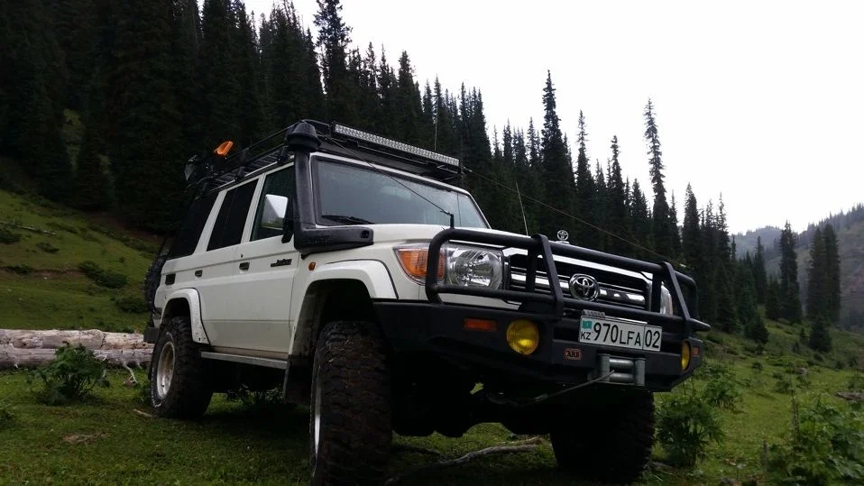 Cruiser1.webp
