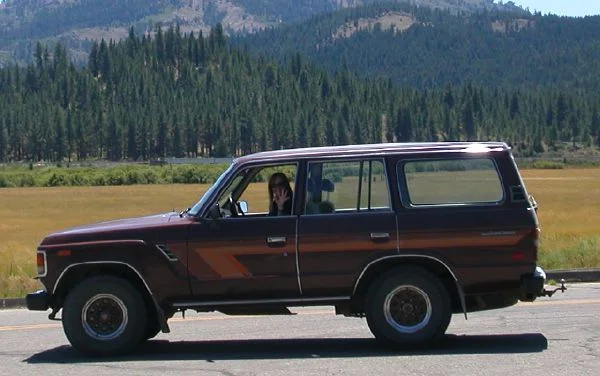 cruiser2.webp