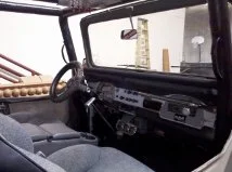 cruiser2.webp