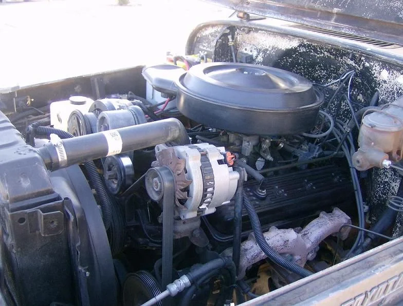 cruiser5.webp