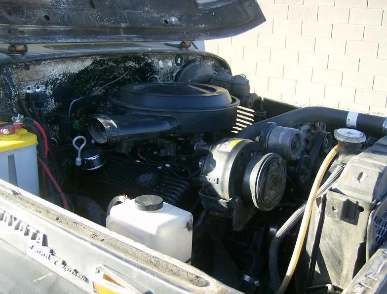 cruiser6.webp