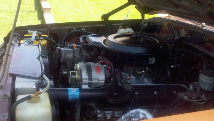 cruiser6.webp