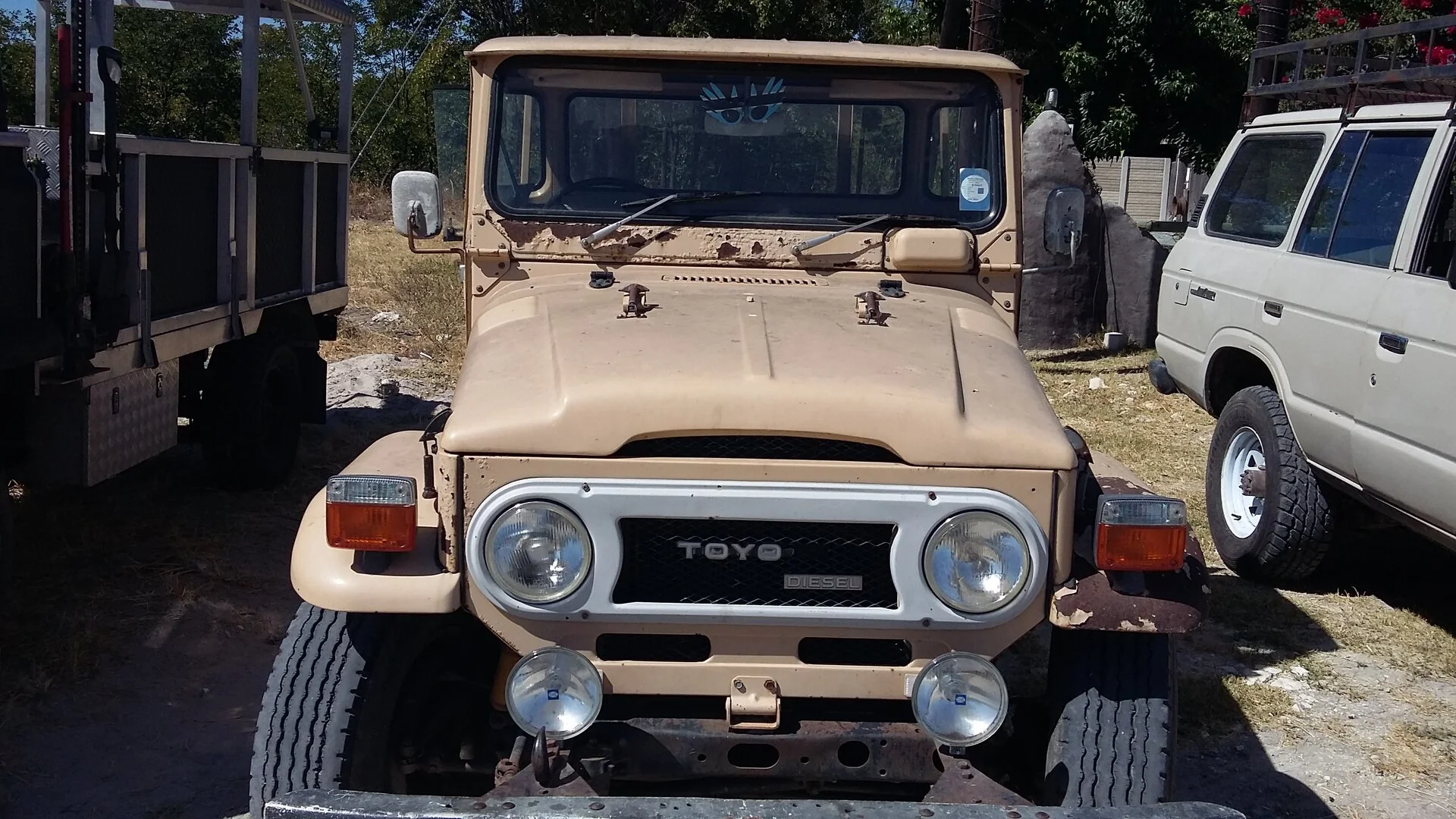 Cruiser_front.webp