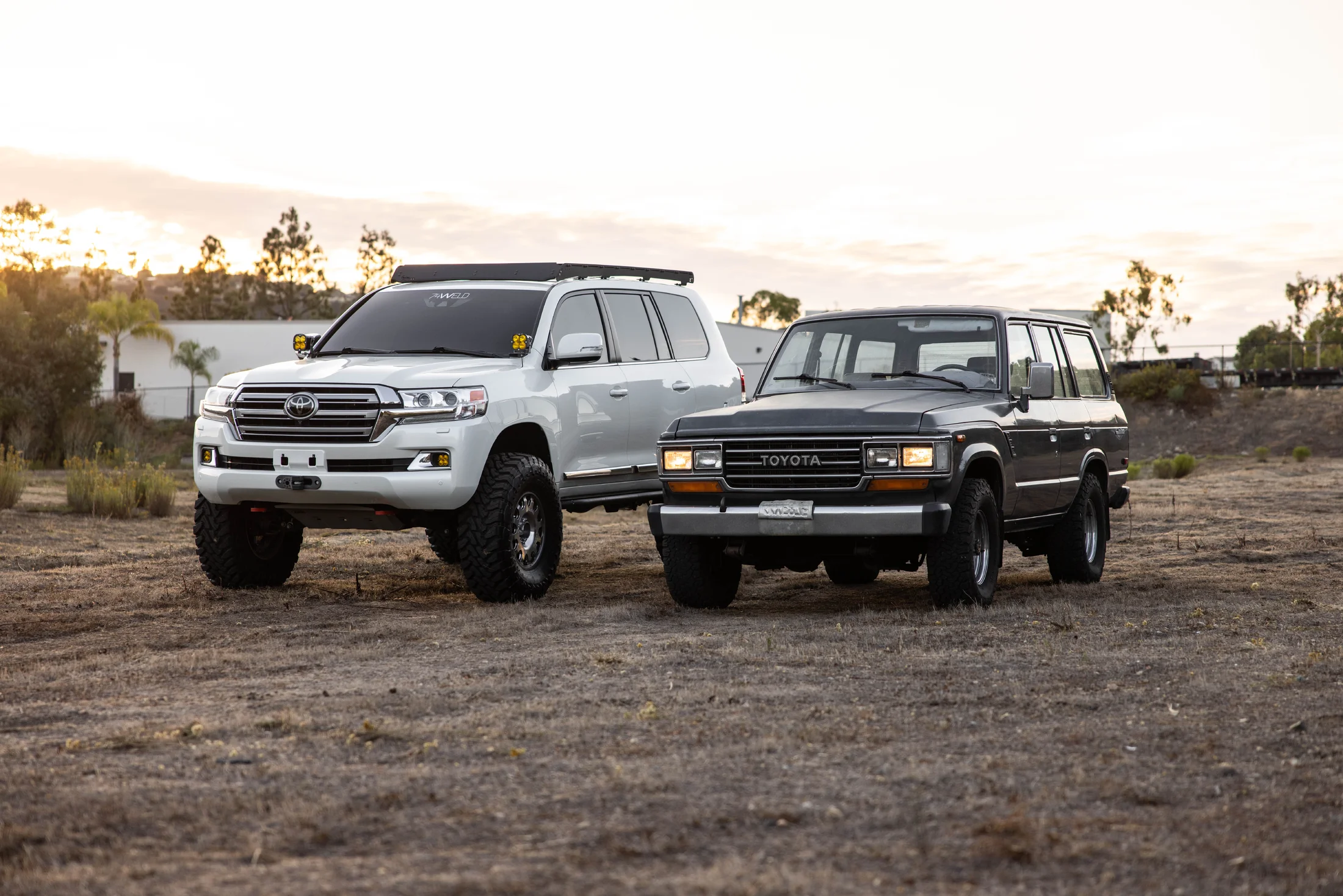 Cruisers.webp