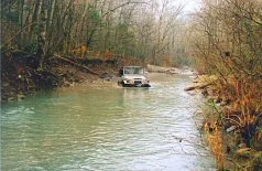 CruiserWading.webp