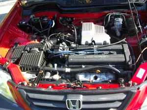CRV2.webp