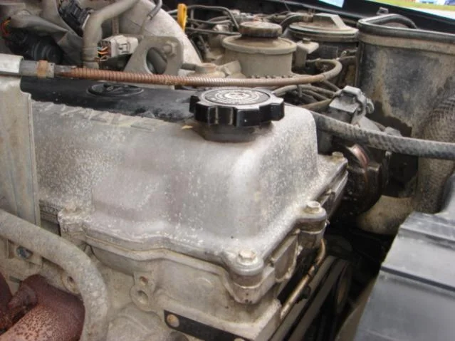 CS232 026.webp