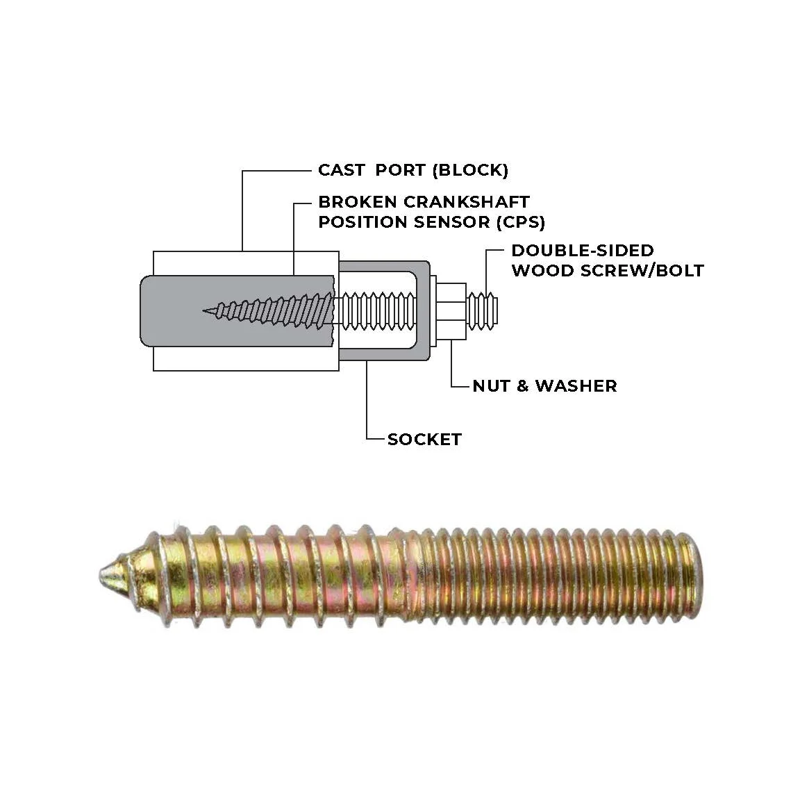 CSA_Extraction_Diagram.webp