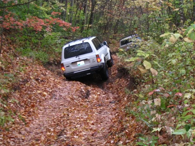Cullowhee 10-26-08 009 (Medium).webp