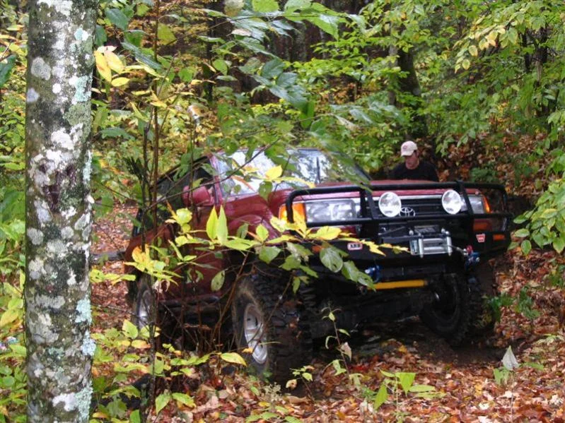 Cullowhee 10-26-08 022 (Medium).webp
