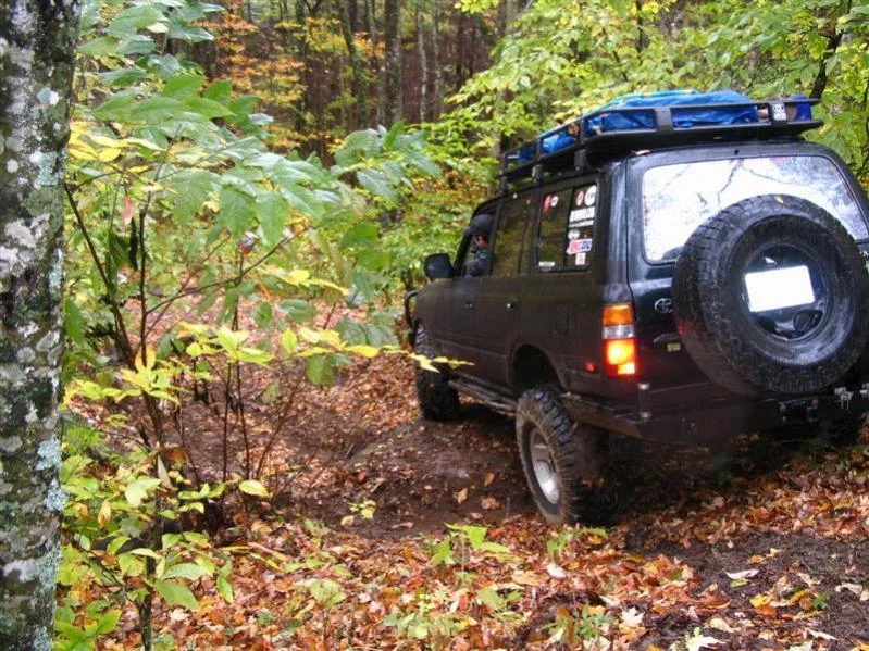 Cullowhee 10-26-08 026 (Medium).webp