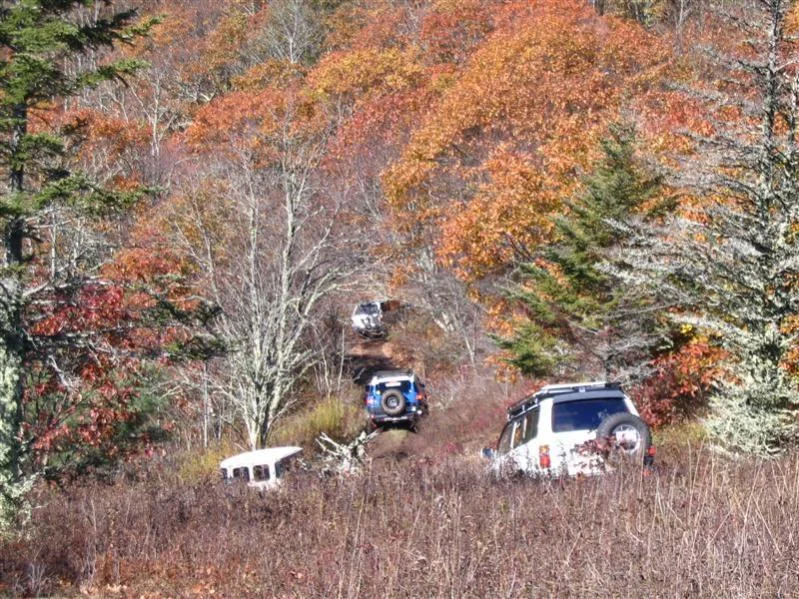 Cullowhee 10-26-08 052 (Medium).webp