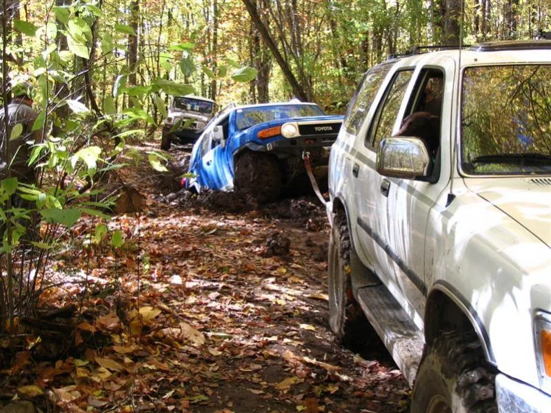 Cullowhee 10-26-08 064 (Medium).webp