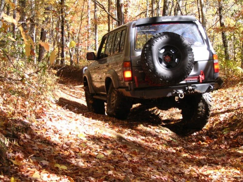 Cullowhee 10-26-08 072 (Medium).webp