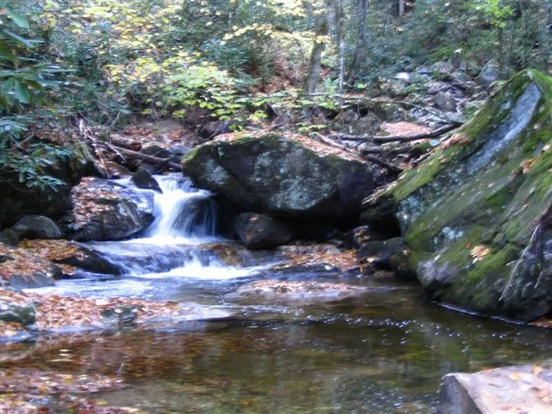 Cullowhee 10-26-08 084 (Medium).webp