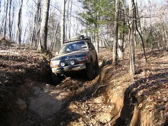 cullowhee carnage scouting trip 004 (Small).webp
