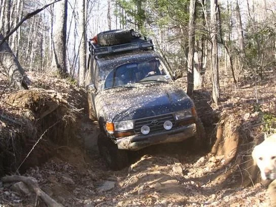 cullowhee carnage scouting trip 005 (Small).webp