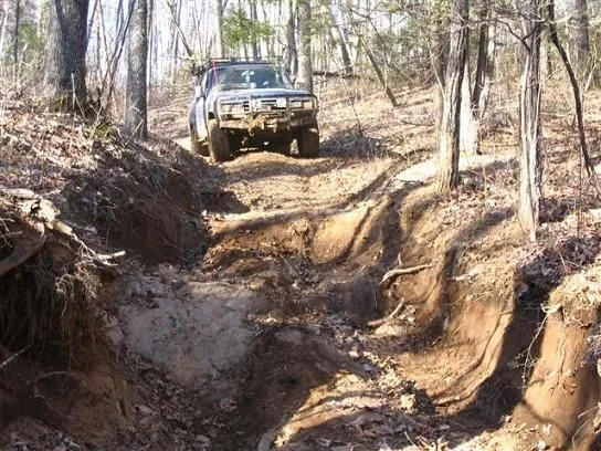 cullowhee carnage scouting trip 013 (Small).webp