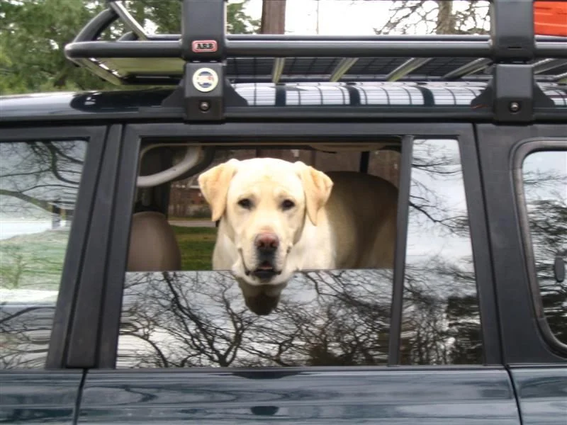 cullowhee carnage scouting trip 027 (Medium).jpg