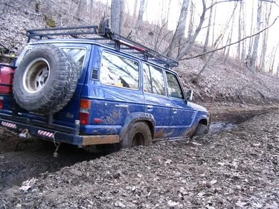 cullowhee carnage scouting trip 051 (Small).webp