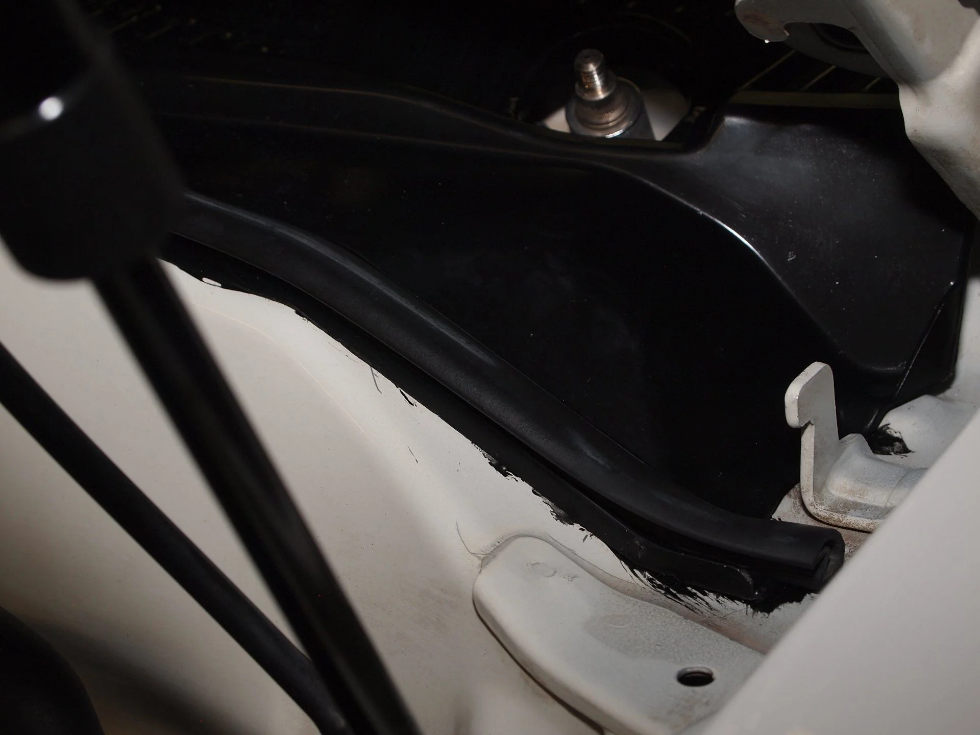 Cut Compound (36).webp