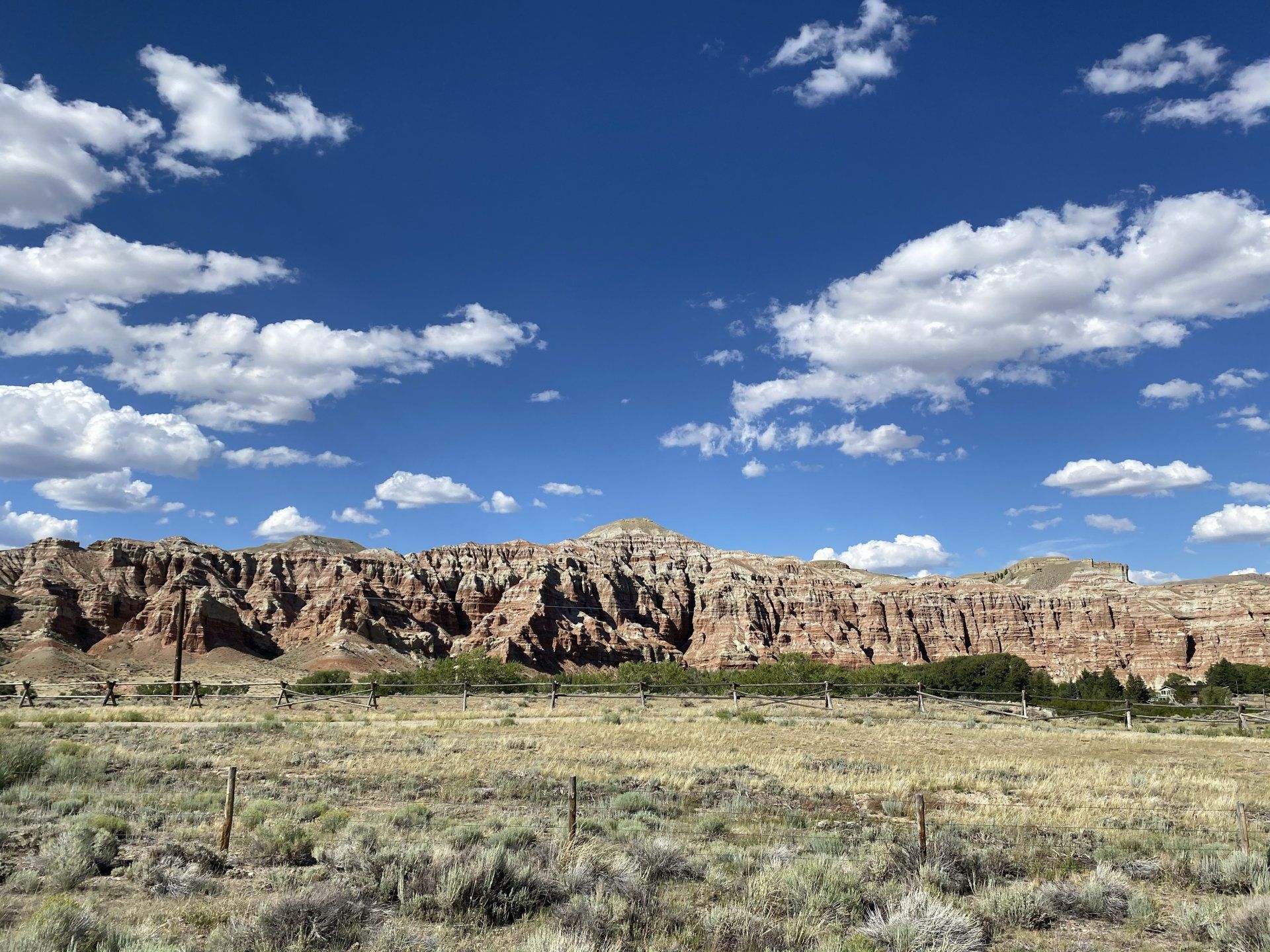 D017585F-185D-49C8-BC56-B569A0736B37.jpeg
