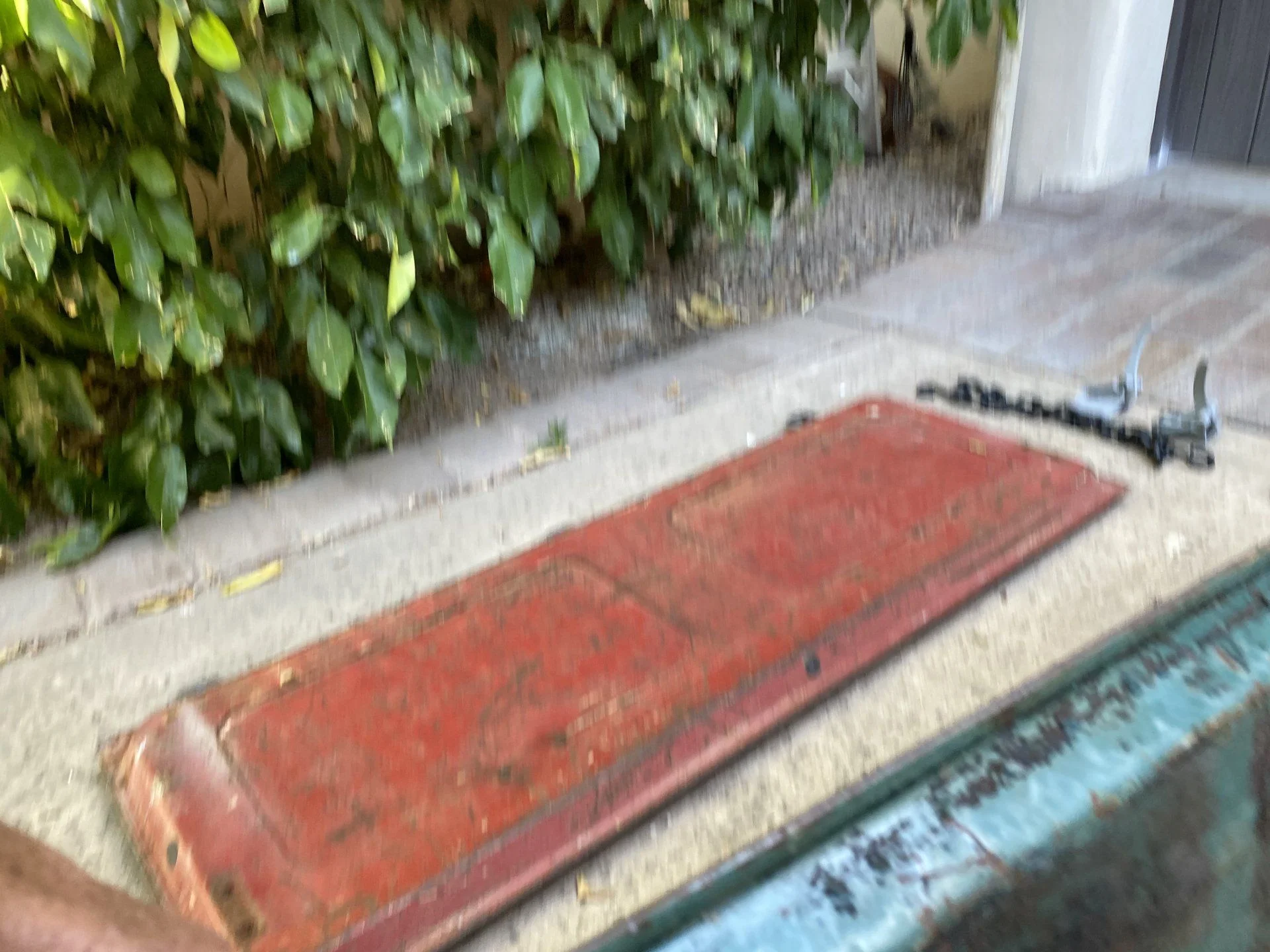 D4F6654A-73C3-406D-A0FA-4277BA703922.webp