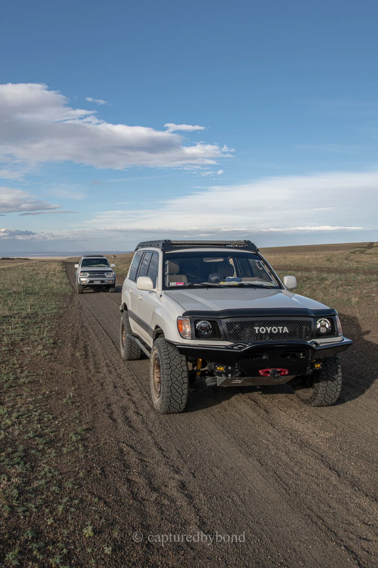 D85_7686.JPG