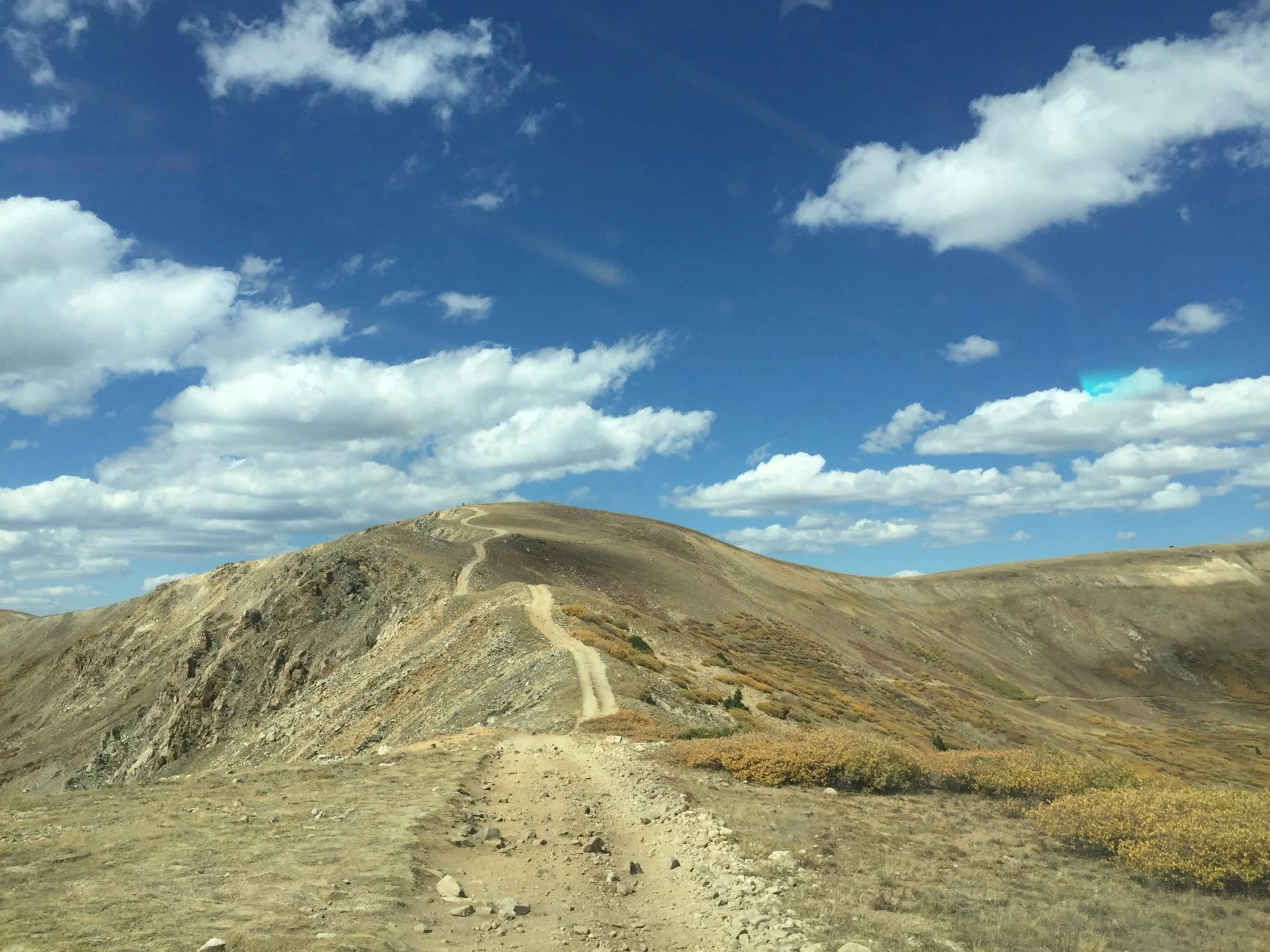 D96937D0-F4E6-4391-A2F9-83158F153BBE.webp