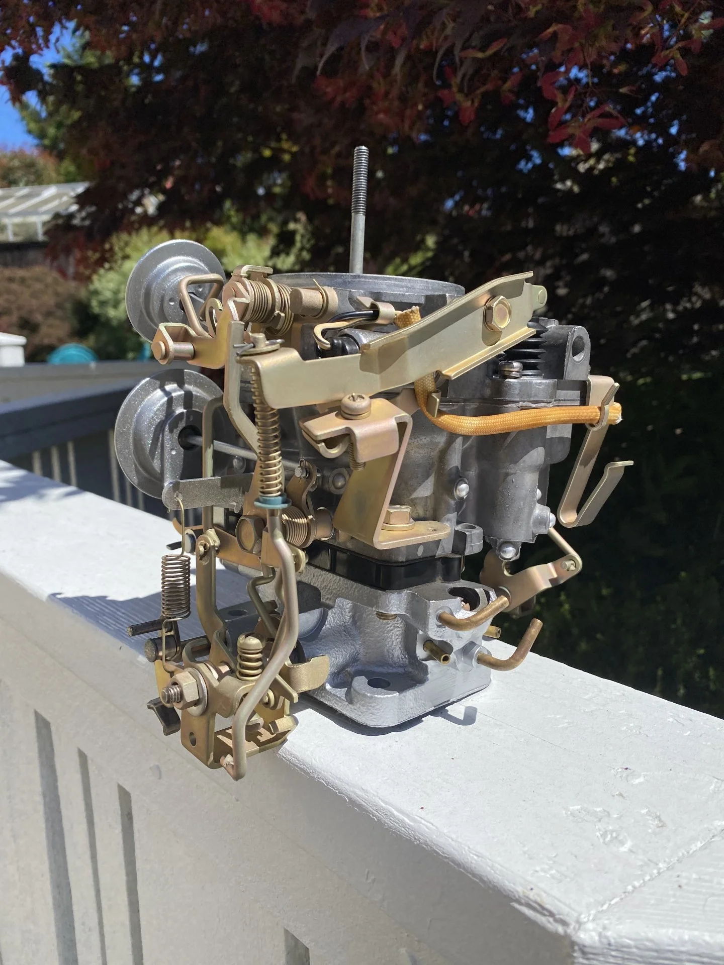 DAEF6481-BF54-4DC5-A58A-4B5462798D48.webp