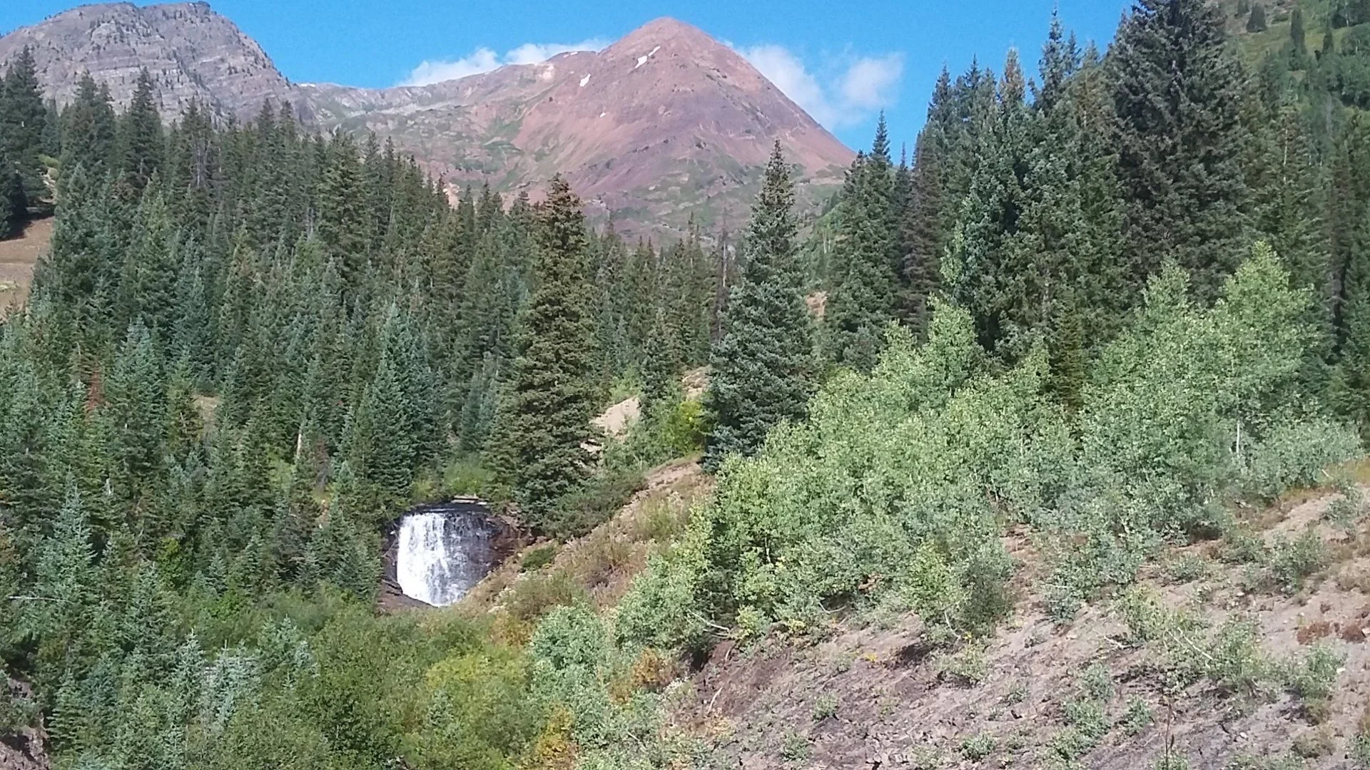 Daisy Mine.jpg