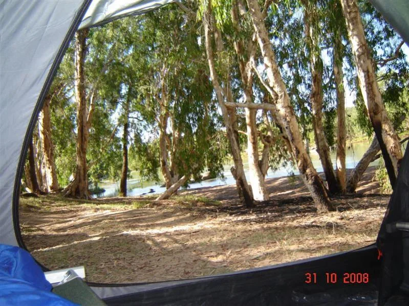 Dalbeg Nov 08 026 (Medium).webp