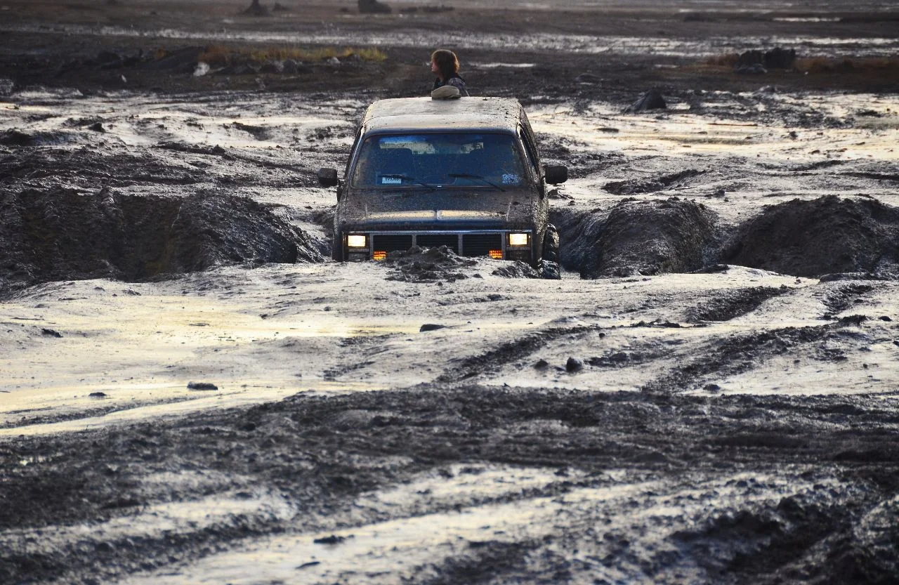 Dark Bog (1280x833).webp
