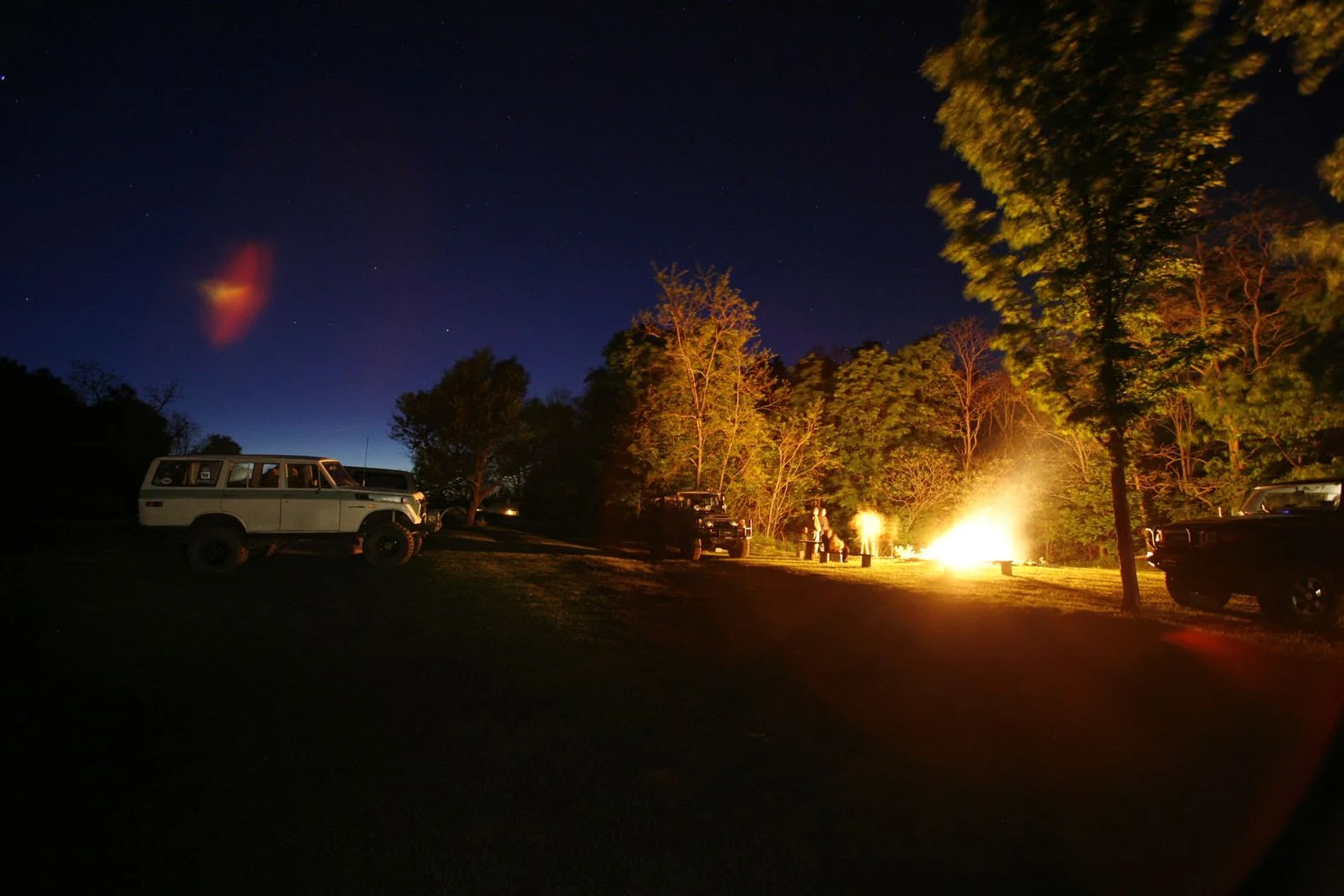 Daves at Night2.webp