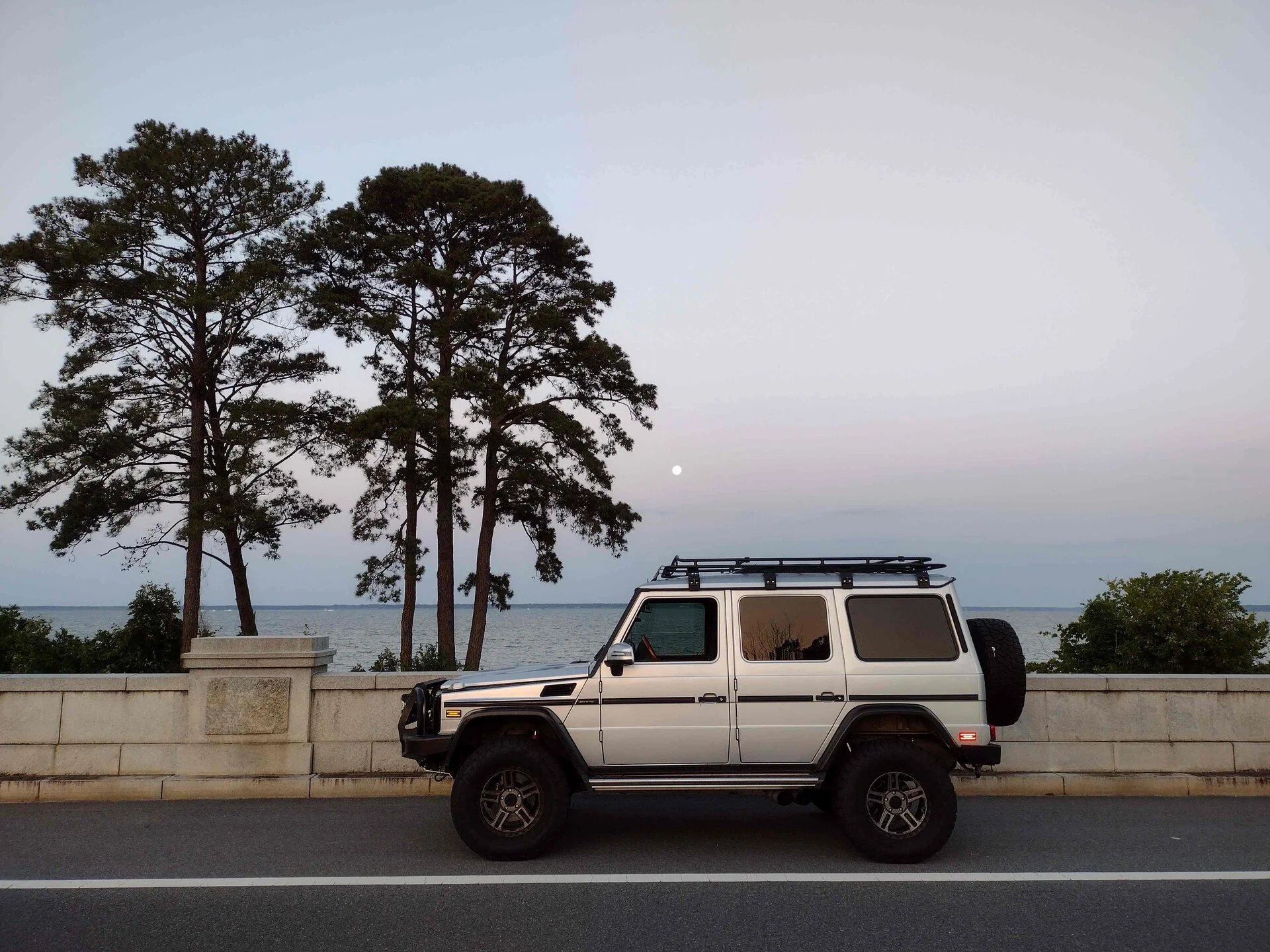 Dawn June G55.webp