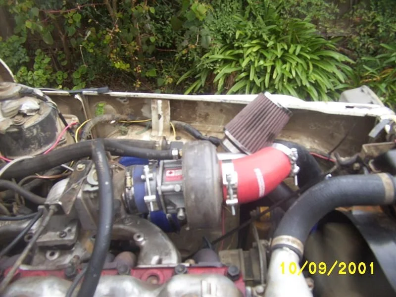 DCP_4433 (Medium).JPG