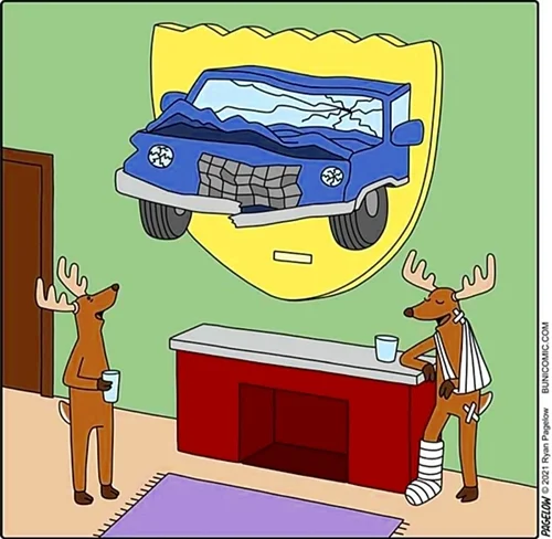 deer and bumper.jpg